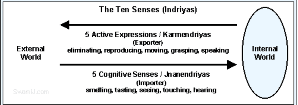 Les 10 sens dans la méditation