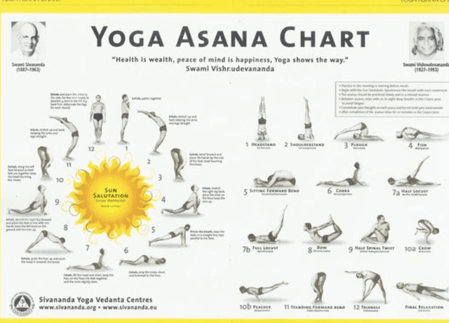 La force du Hatha Yoga